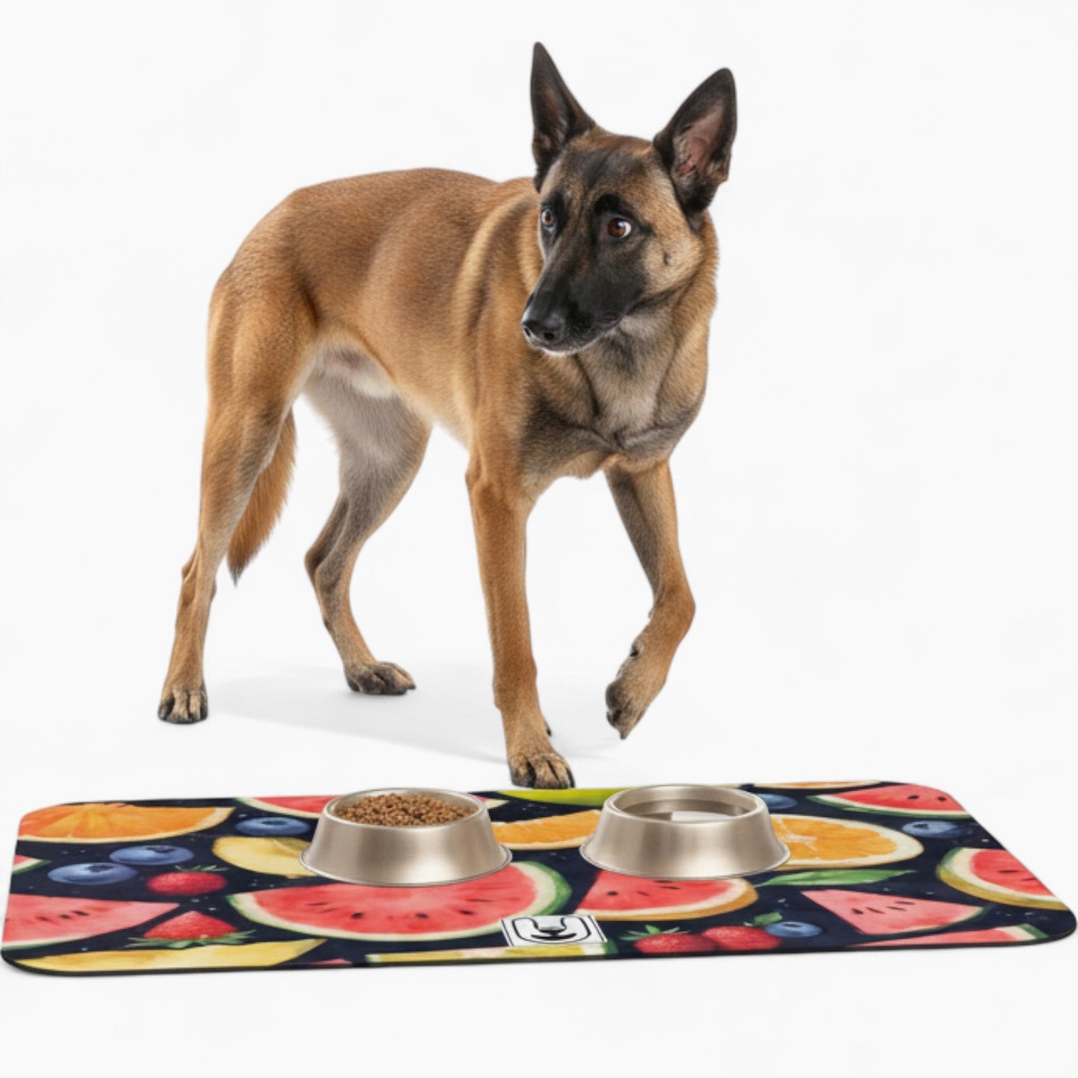 Molt - Dog Food Mat