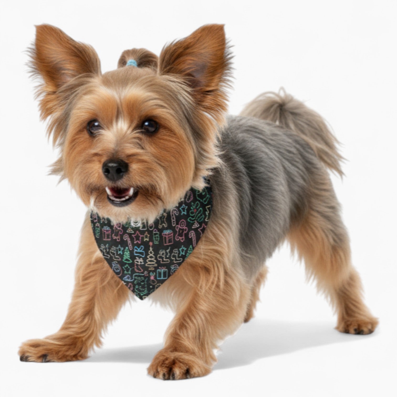 Skye  - Stylish Dog Bandana