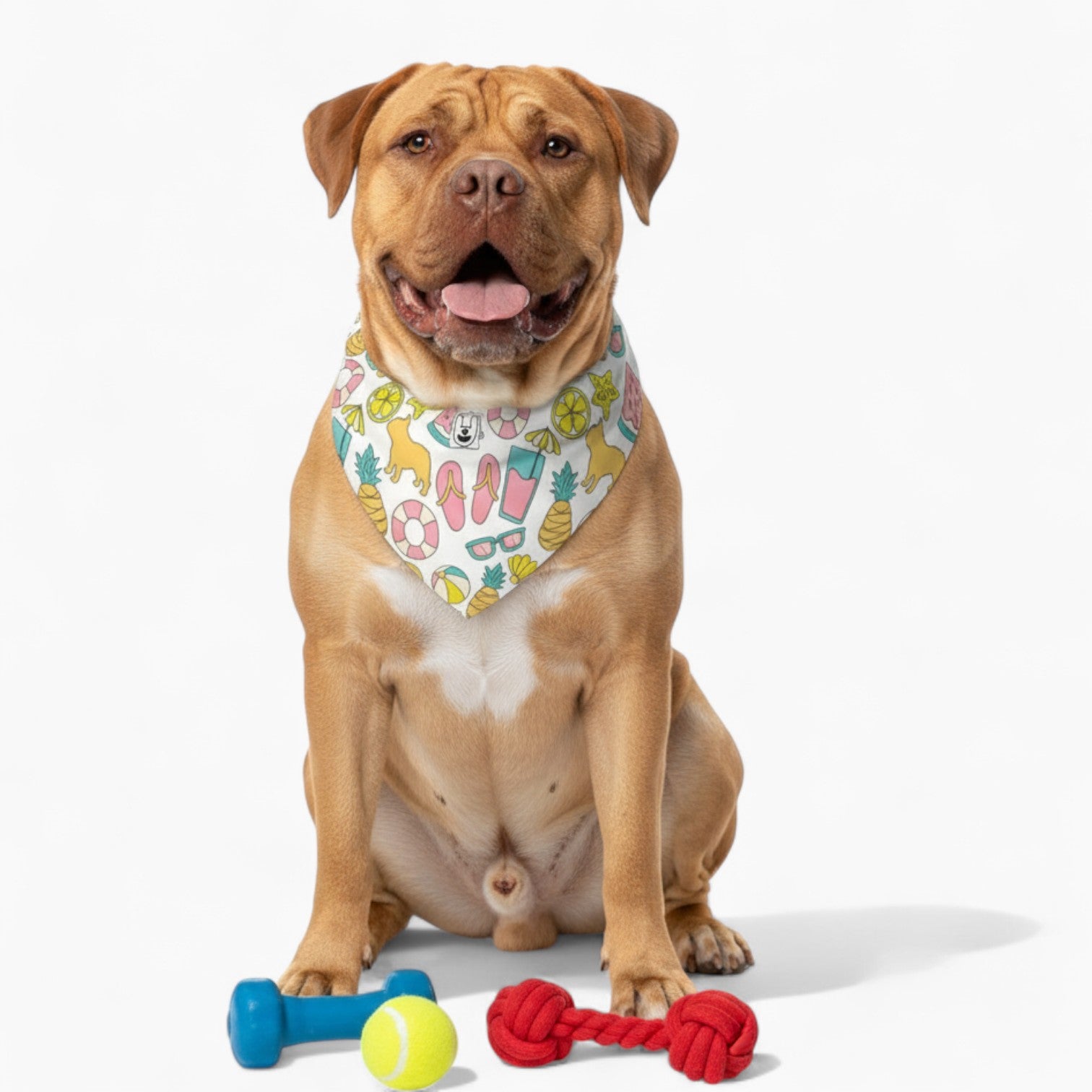 Basil - Stylish Dog Bandana