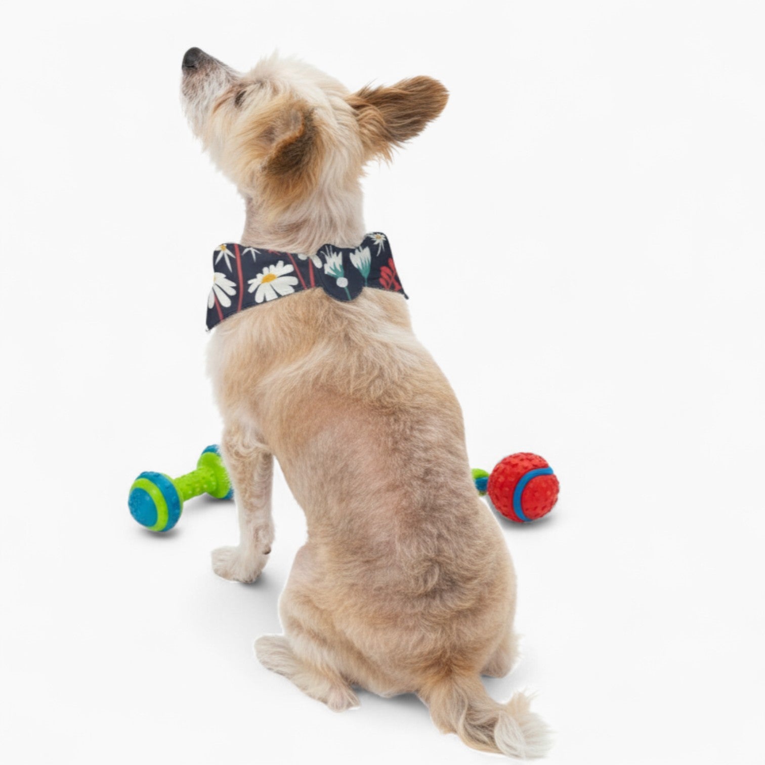 Vito - Stylish Dog Bandana