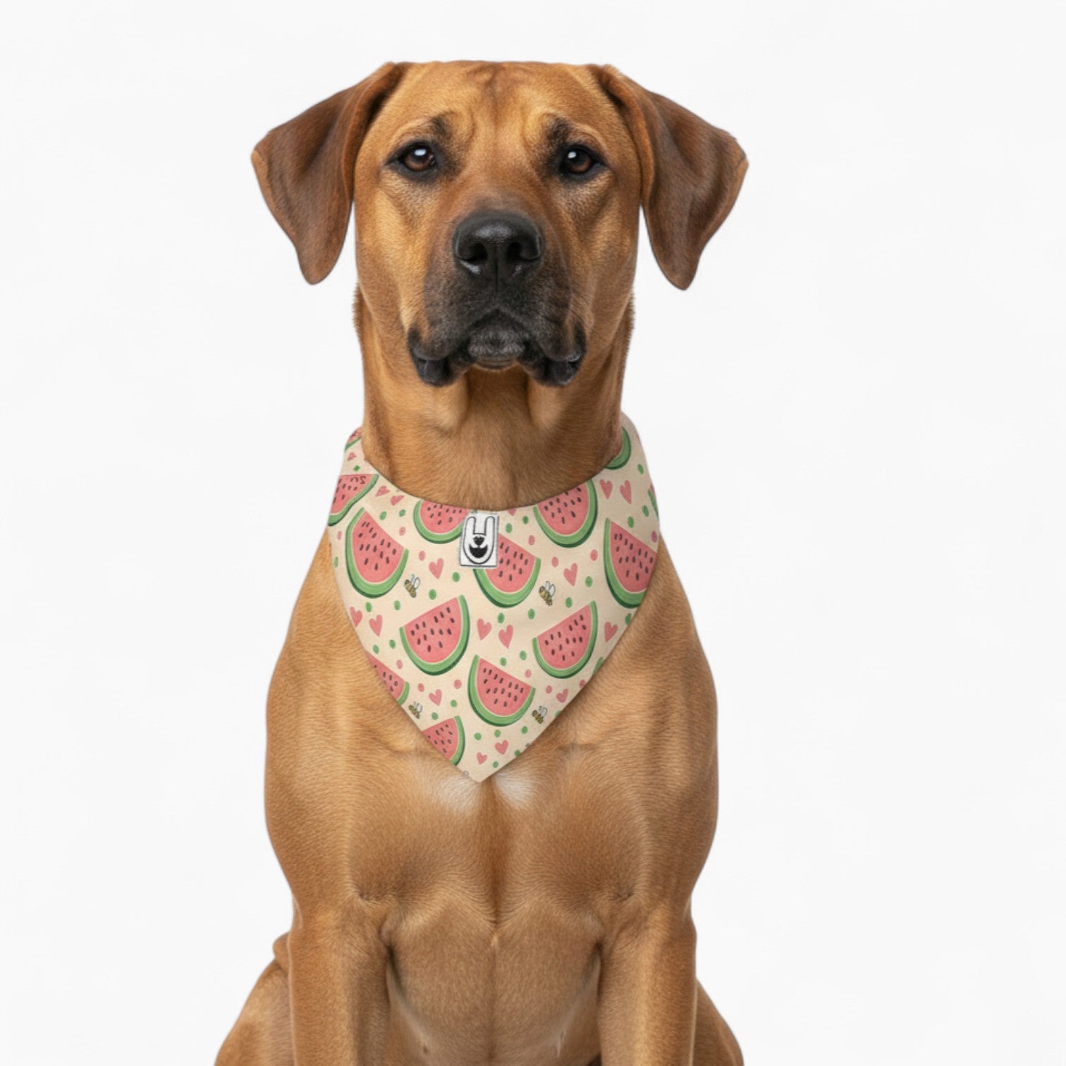 Klara - Stylish Dog Bandana