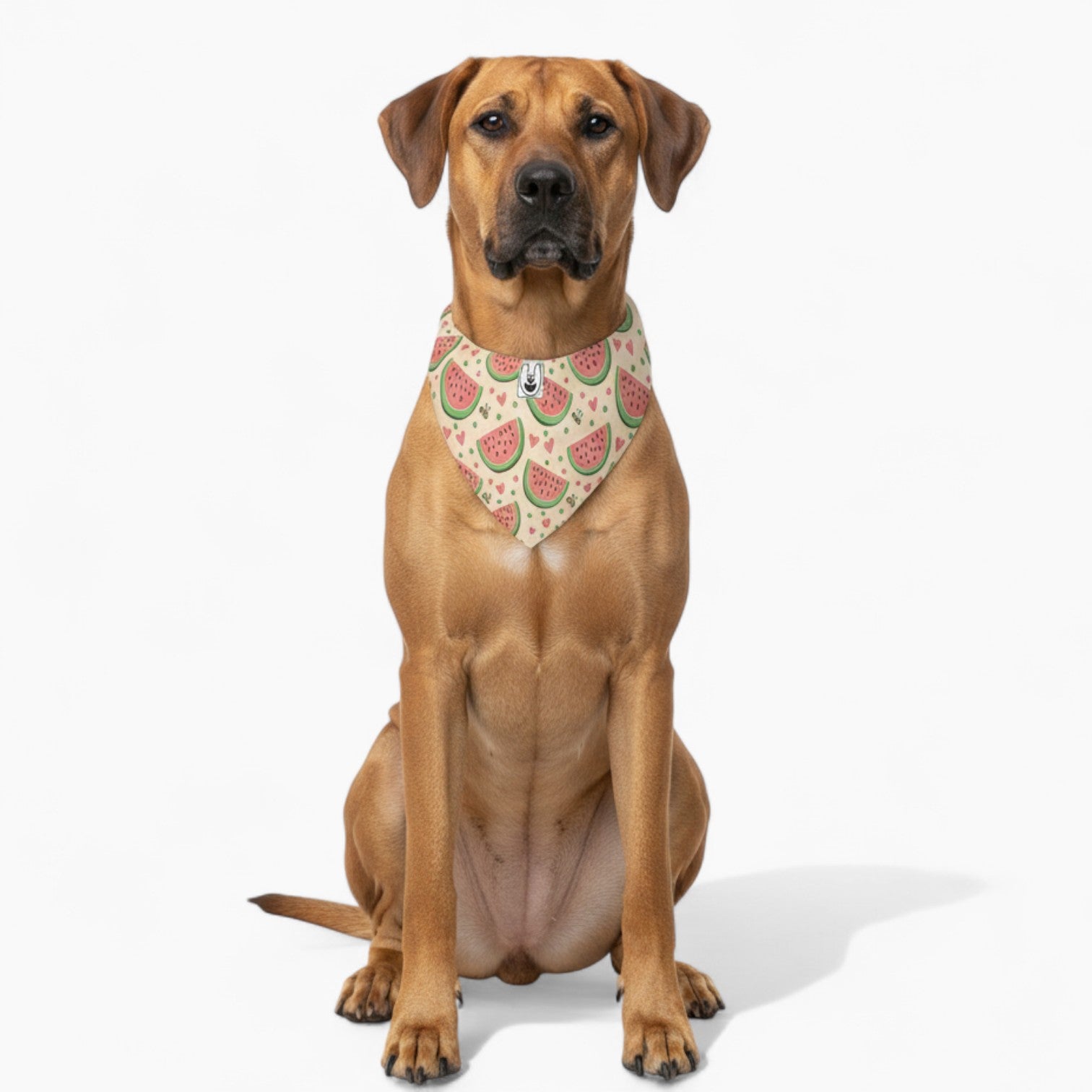 Klara - Stylish Dog Bandana