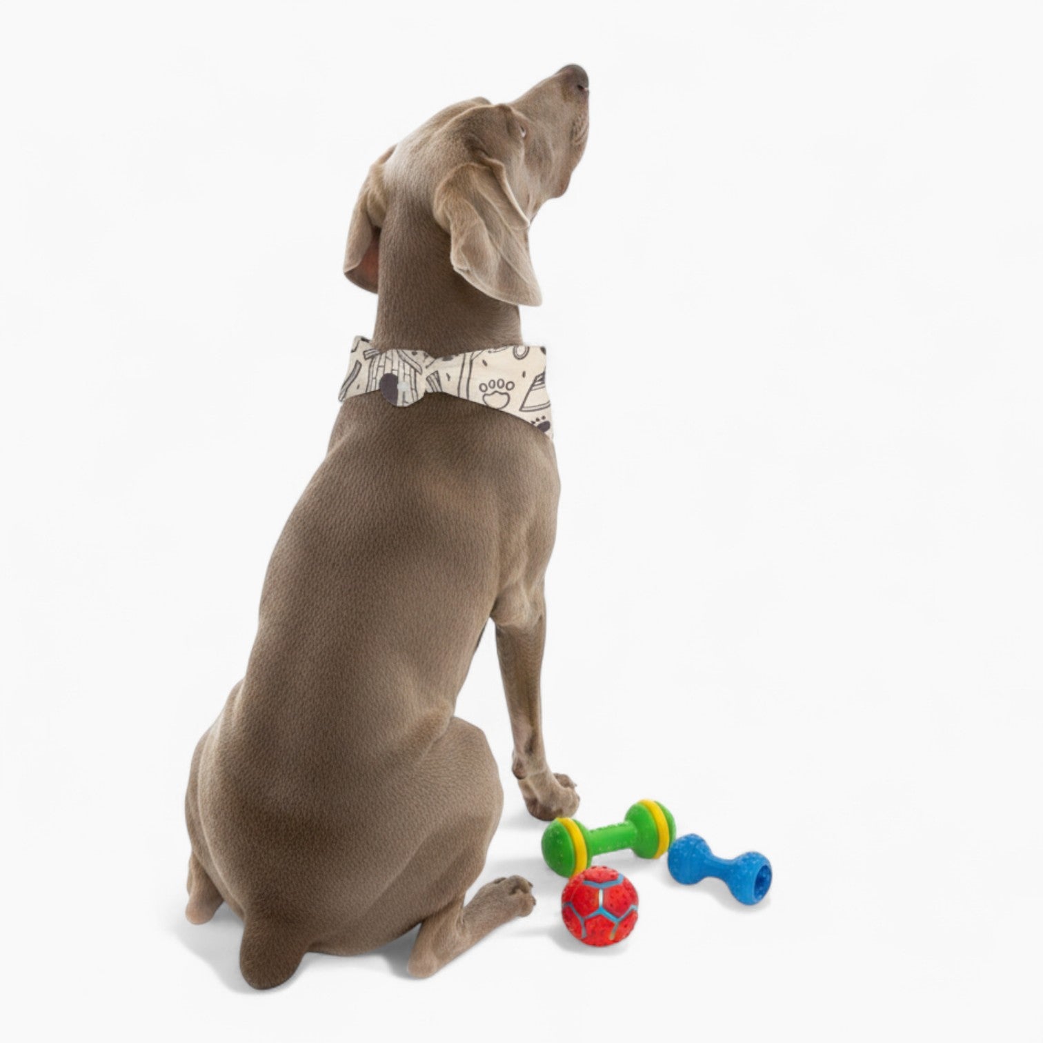 Peppa - Stylish Dog Bandana