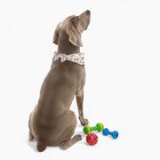 Peppa - Stylish Dog Bandana