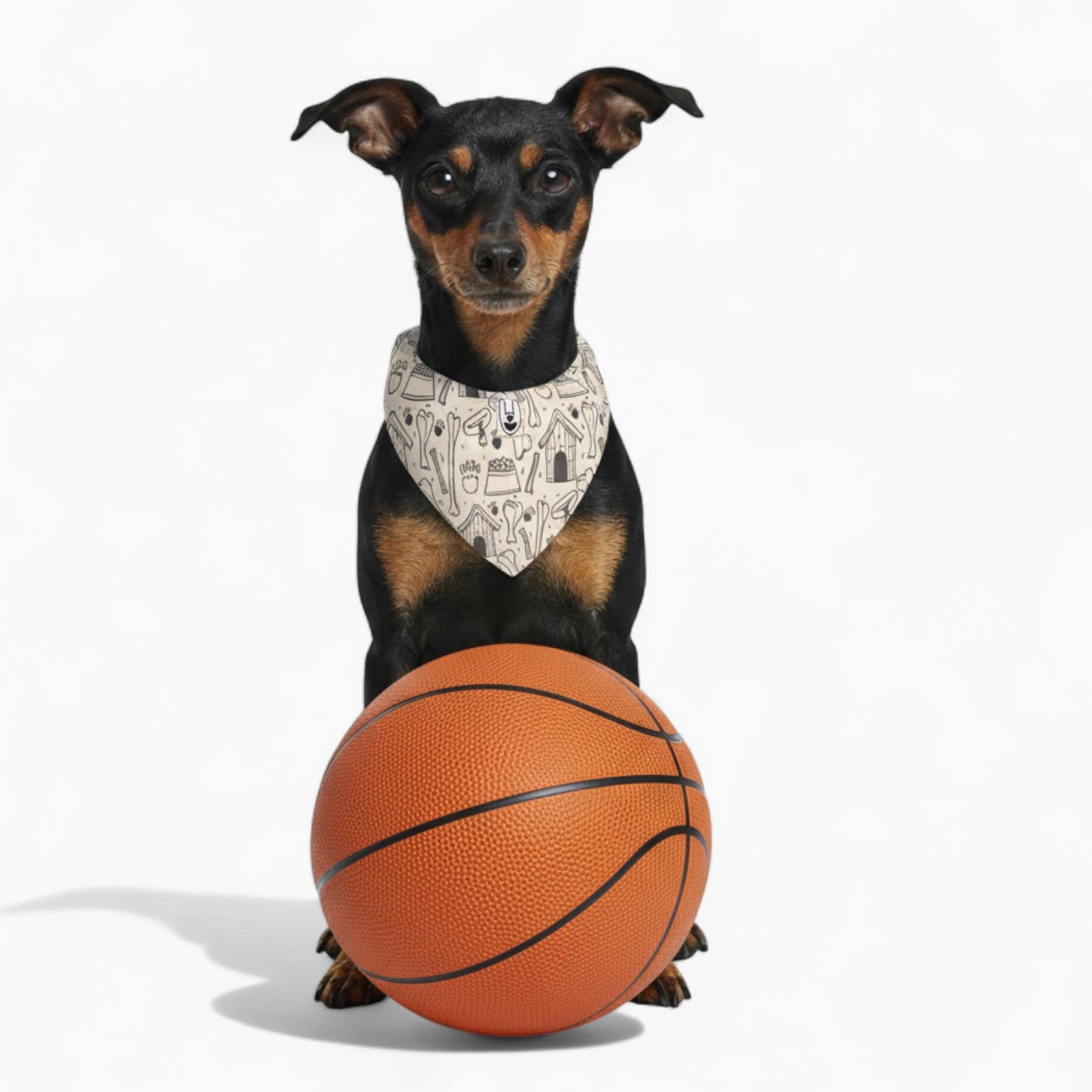 Peppa - Stylish Dog Bandana