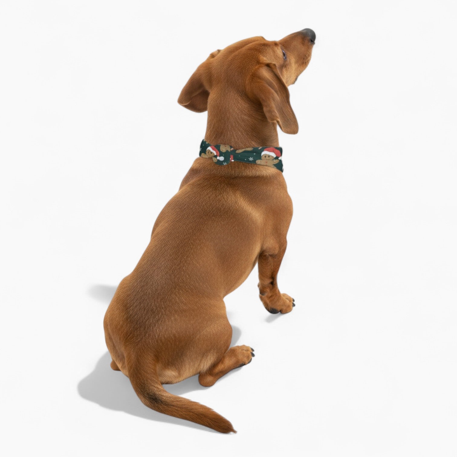 Vito - Stylish Dog Bandana