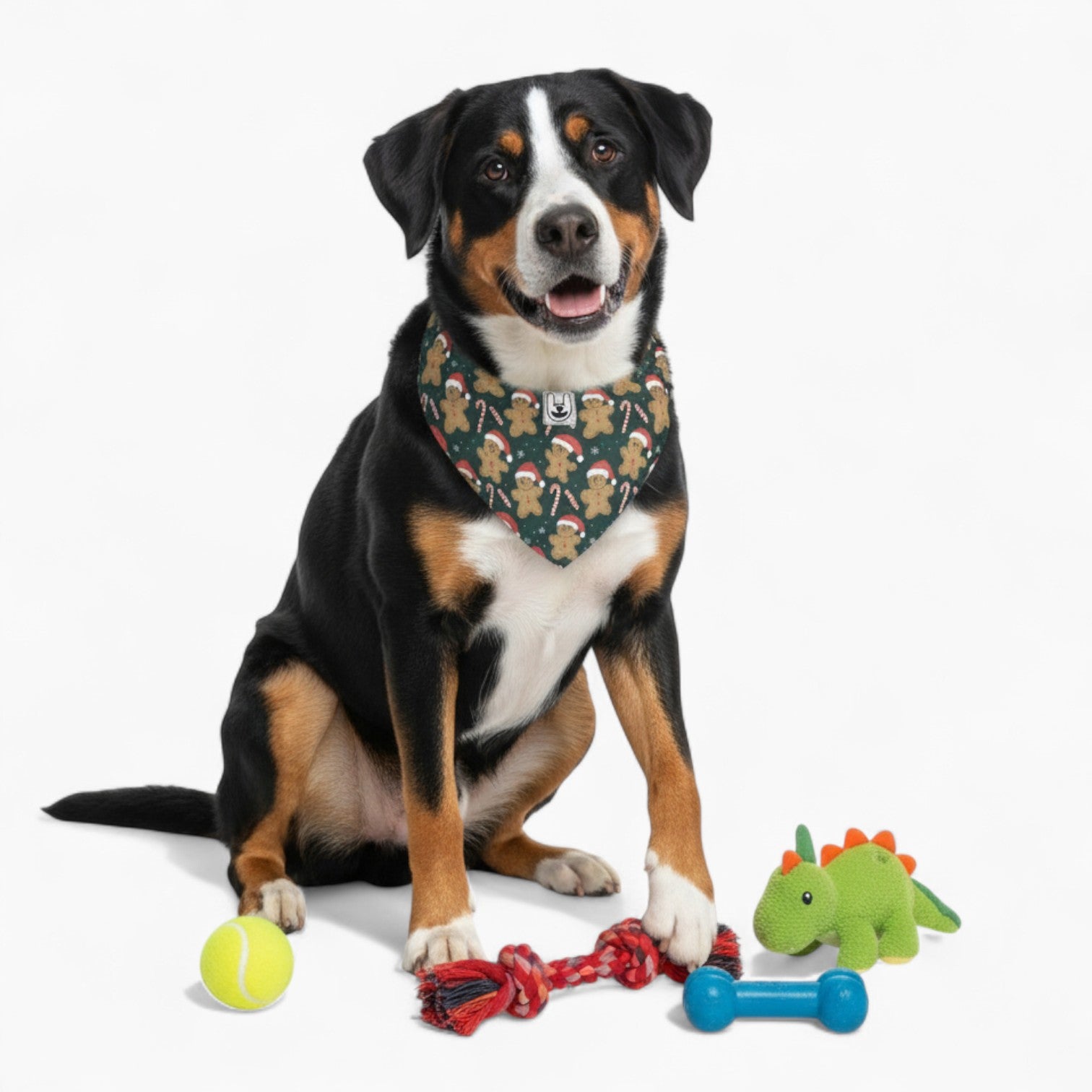 Vito - Stylish Dog Bandana