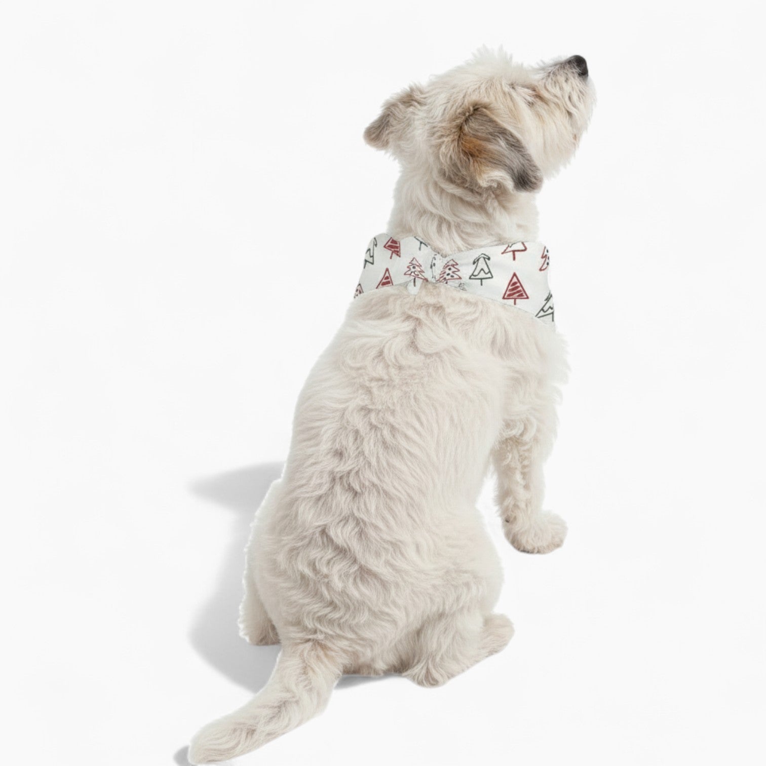 Gustav - Stylish Dog Bandana