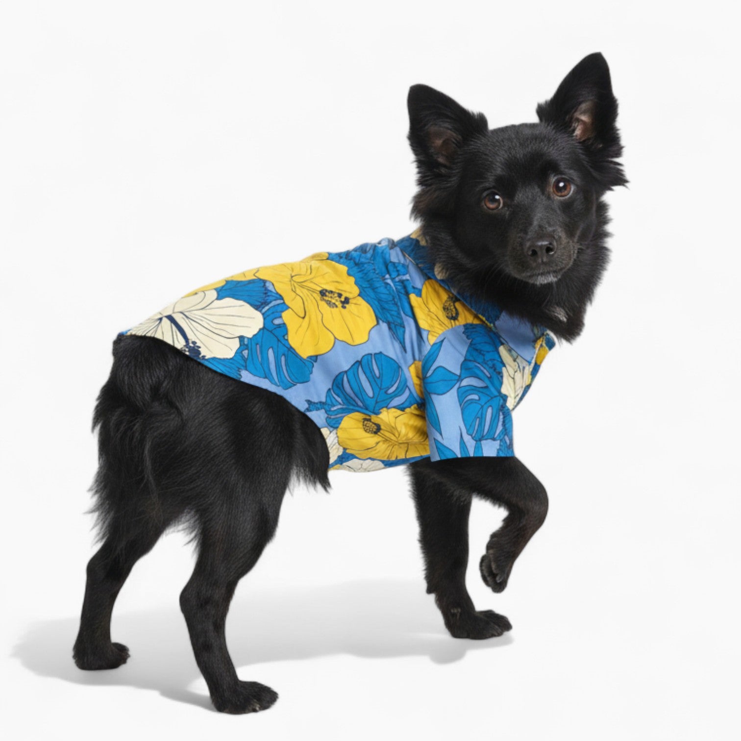 Nico - Dog Hawaiian Shirt