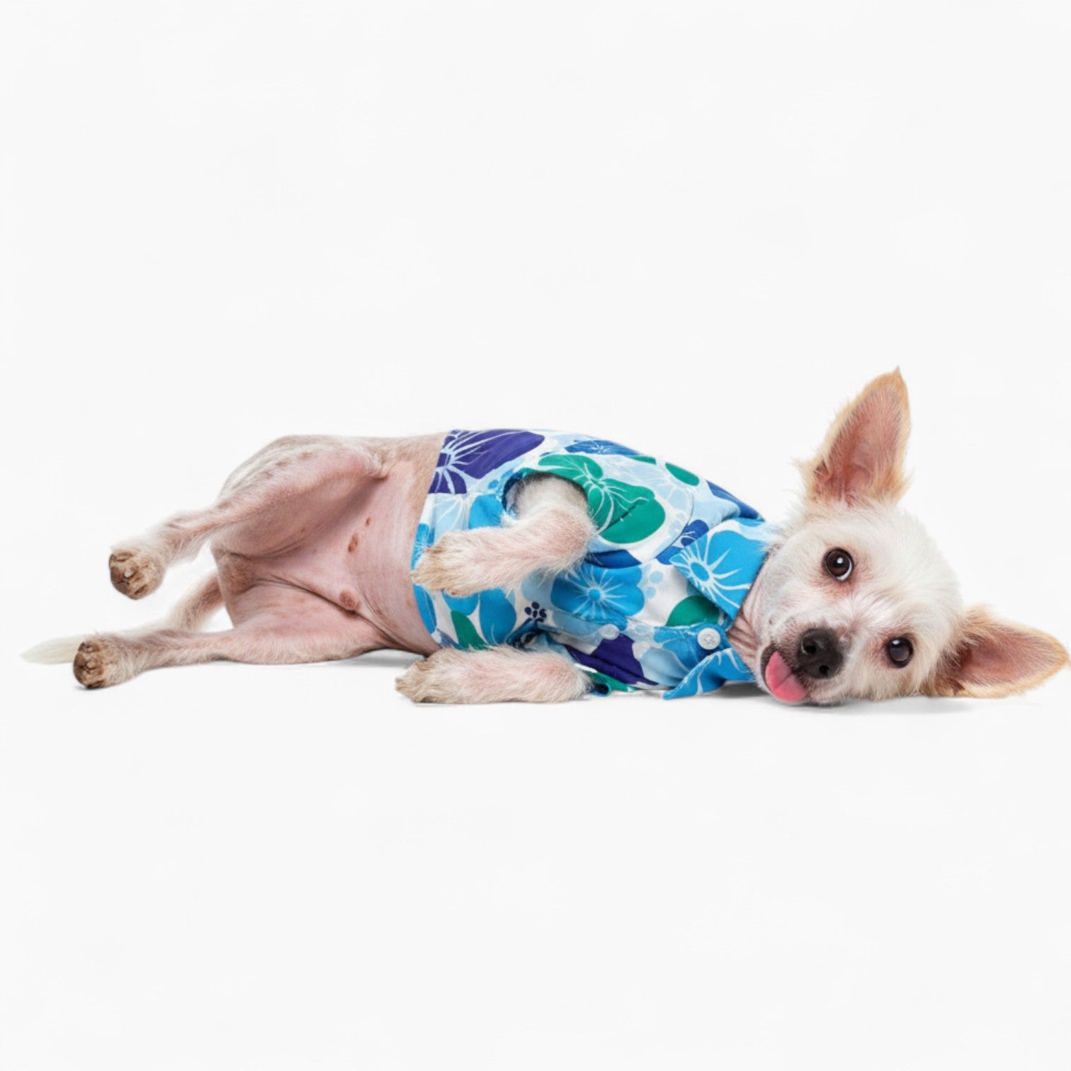 Elsa - Dog Hawaiian Shirt