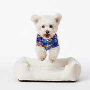 Biscuit - Dog Hawaiian Shirt