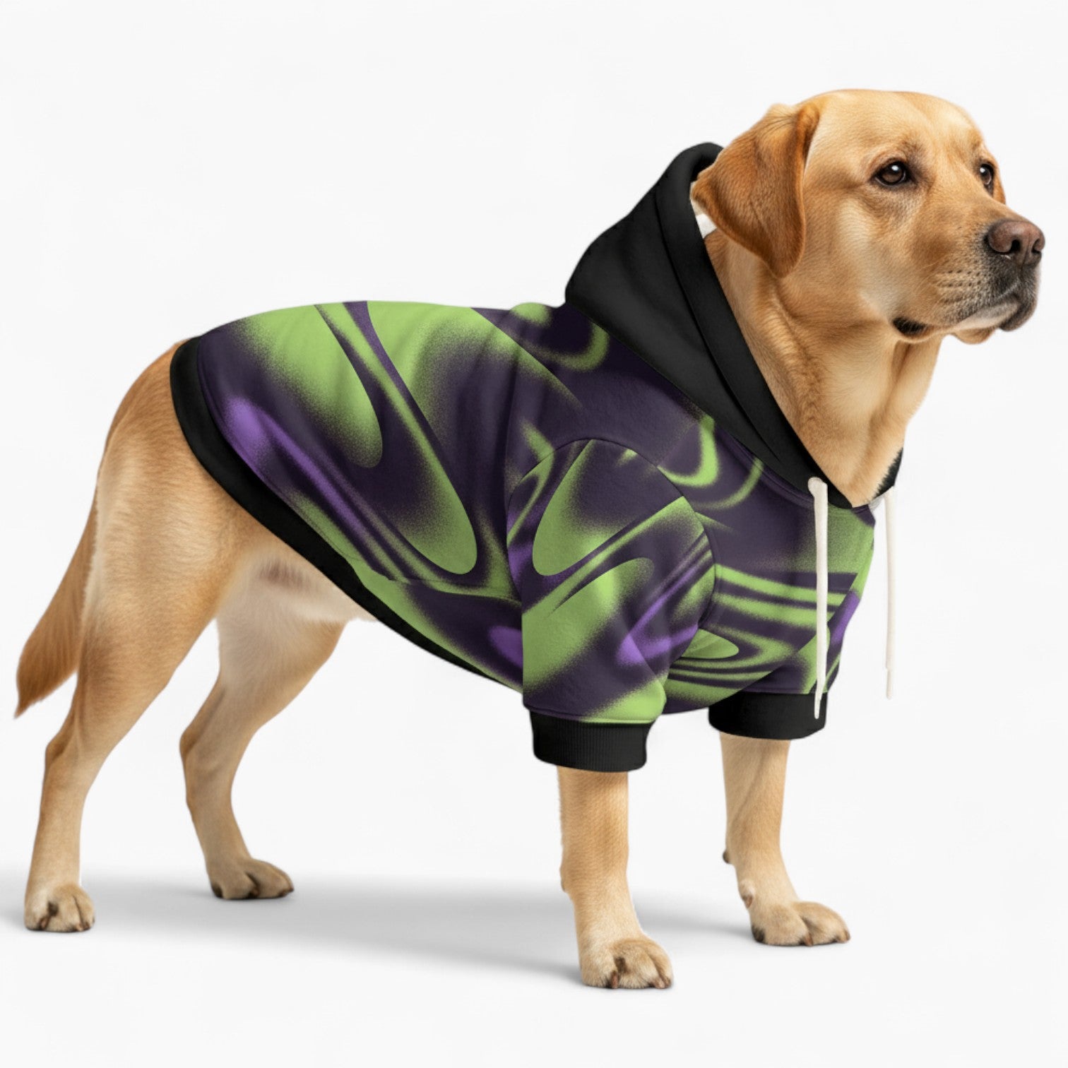 Leo - Dog Hoodie