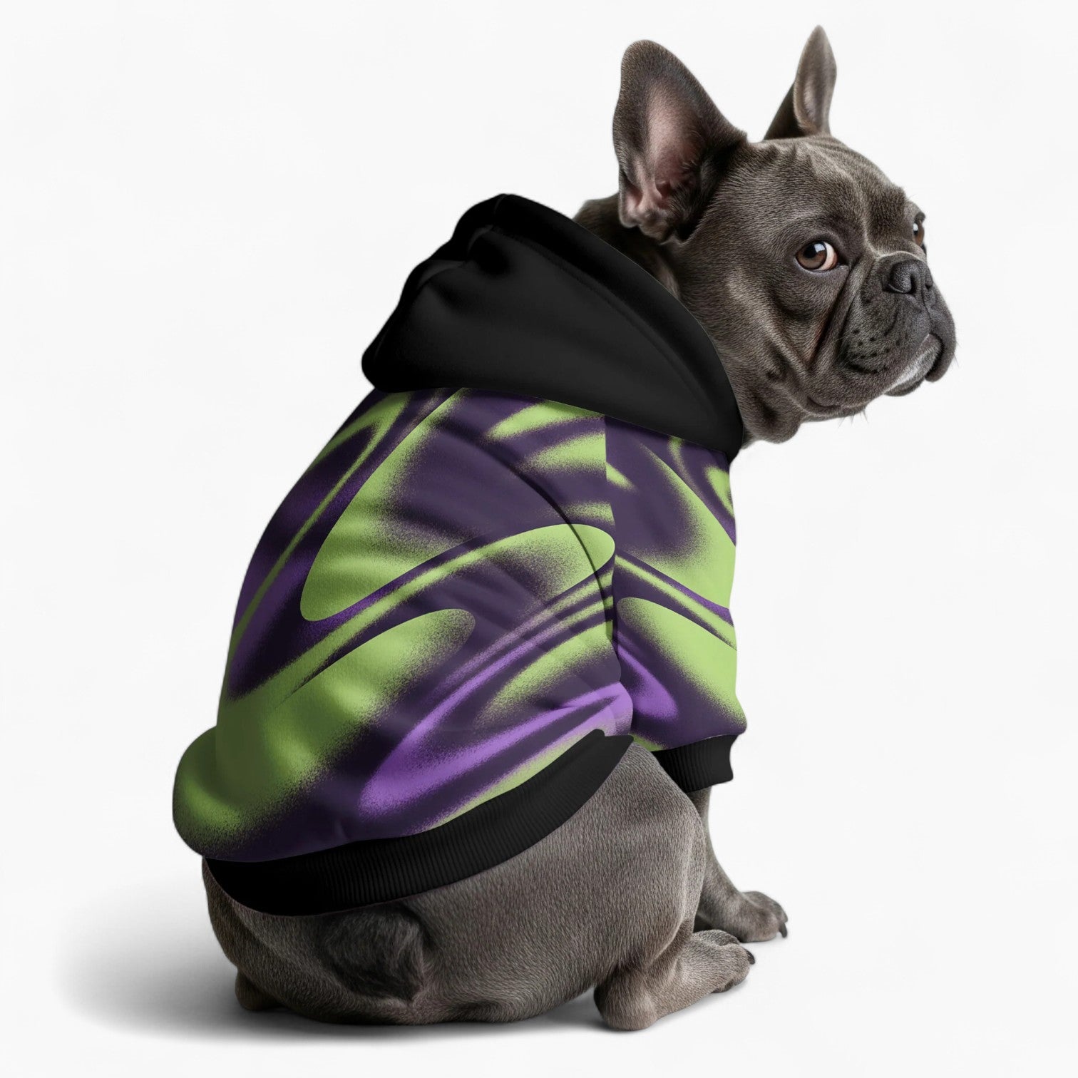 Leo - Dog Hoodie