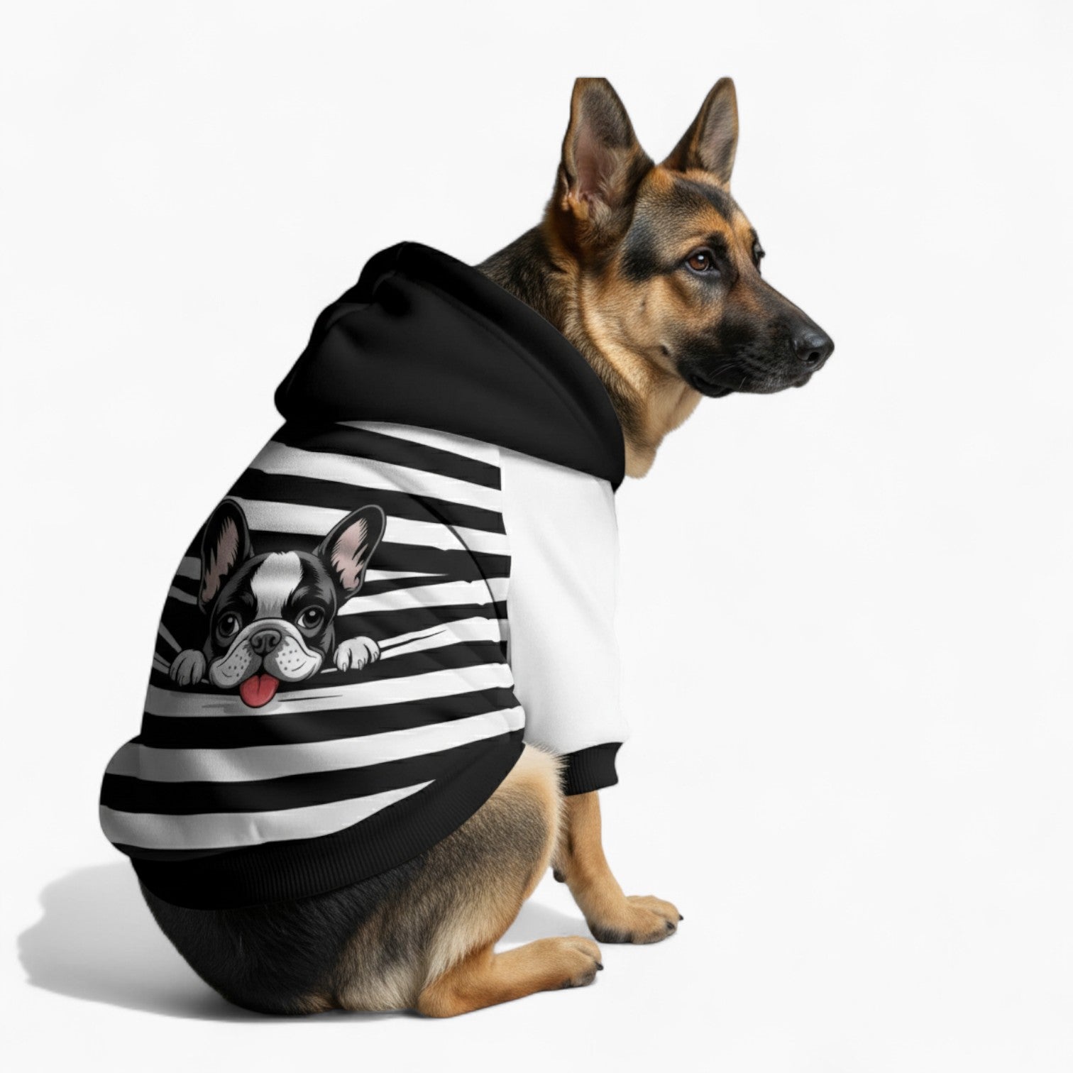Ranger - Dog hoodie