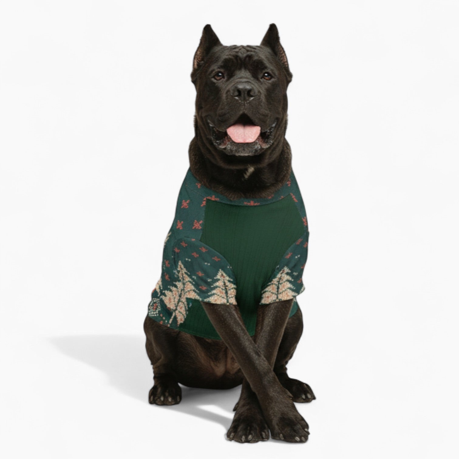 Hazel - Dog Wool Sweater