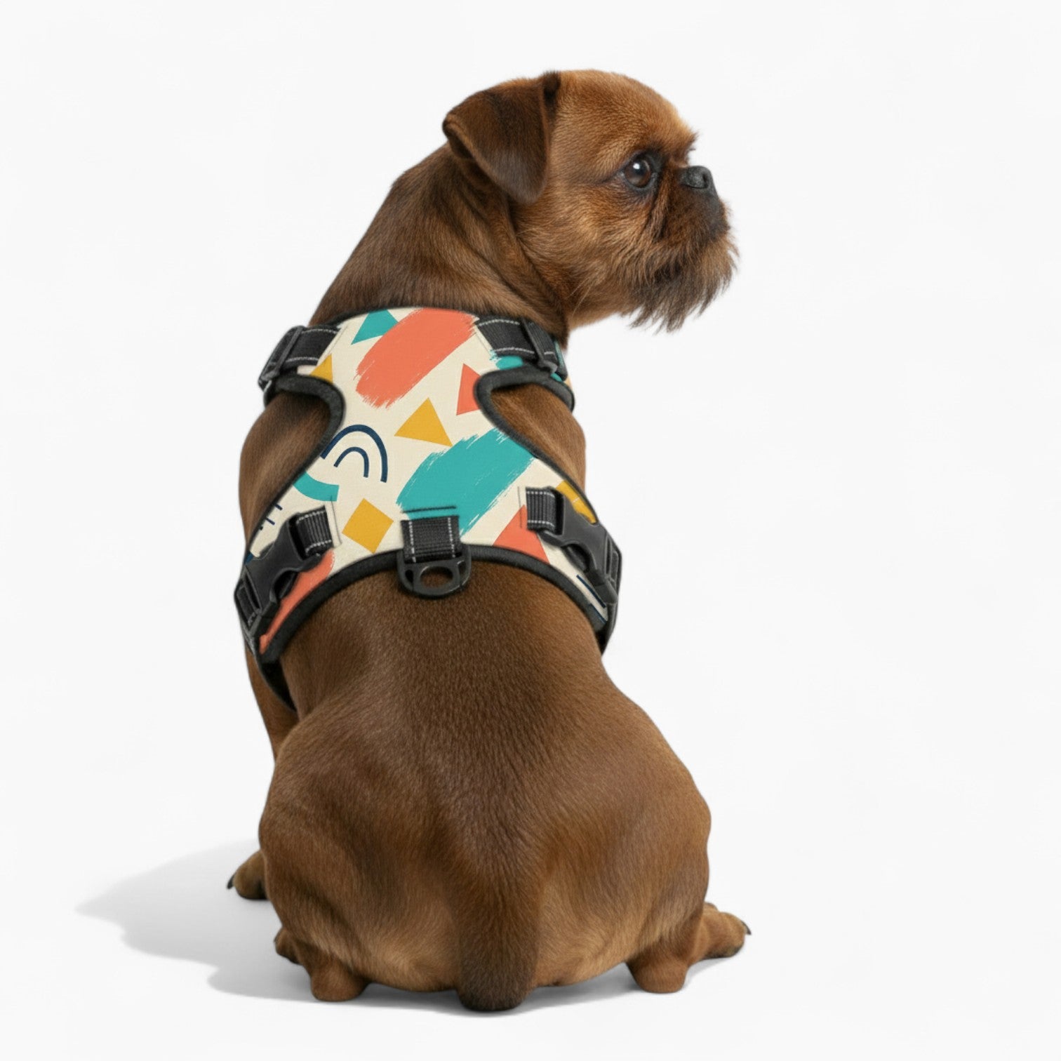 Beau  - NO-PULL Dog Harness & Leash Set | for small and large Dogs