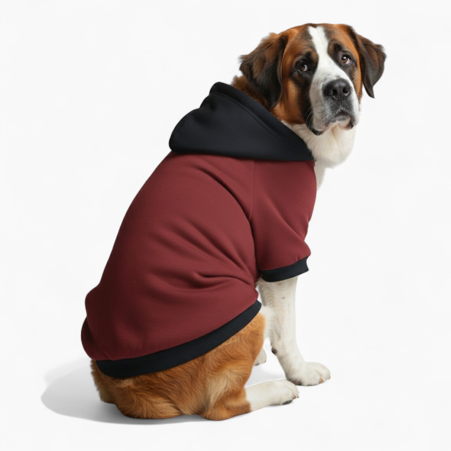 Loki - Dog hoodie