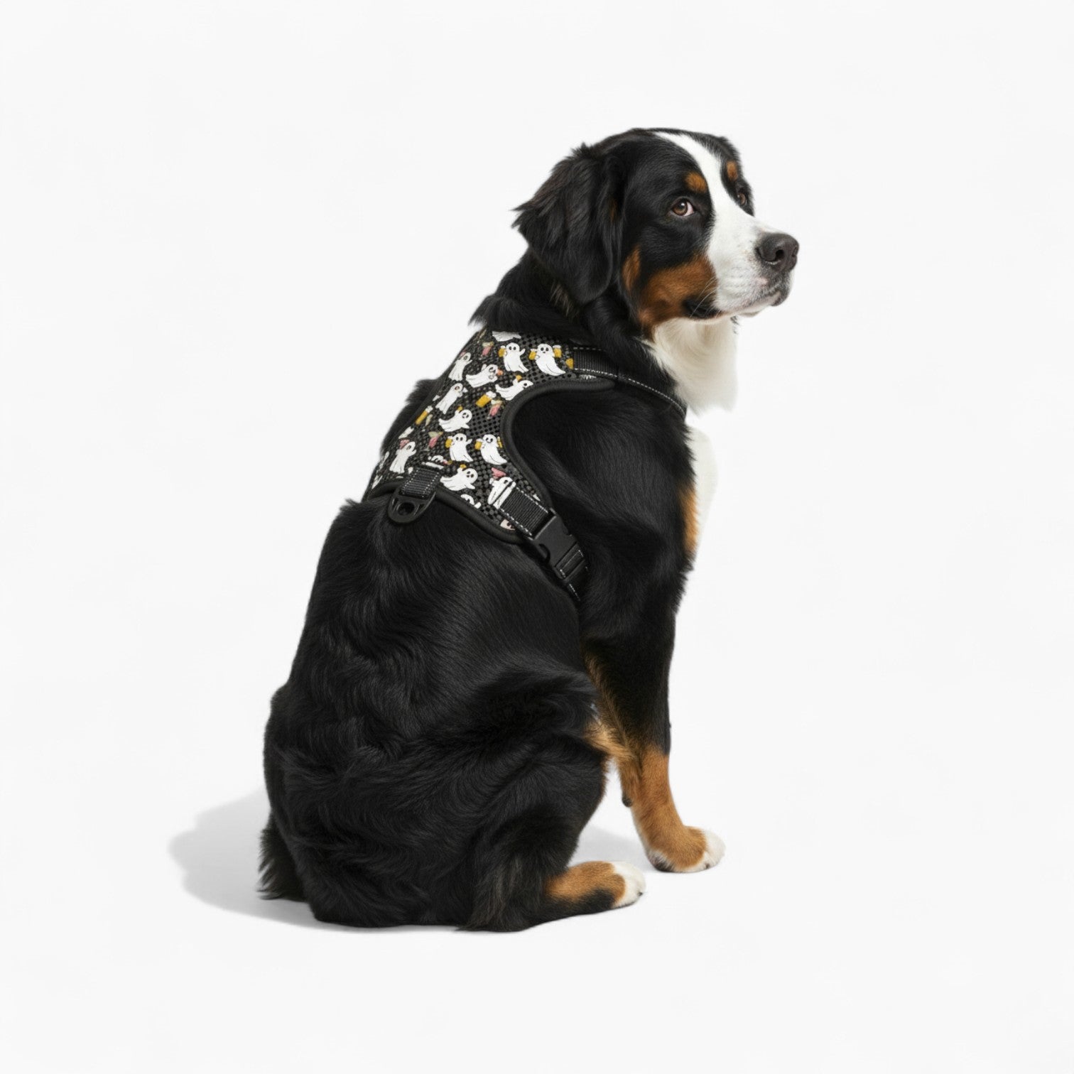 Ace  - NO-PULL Dog Harness & Leash Set | for small and large Dogs