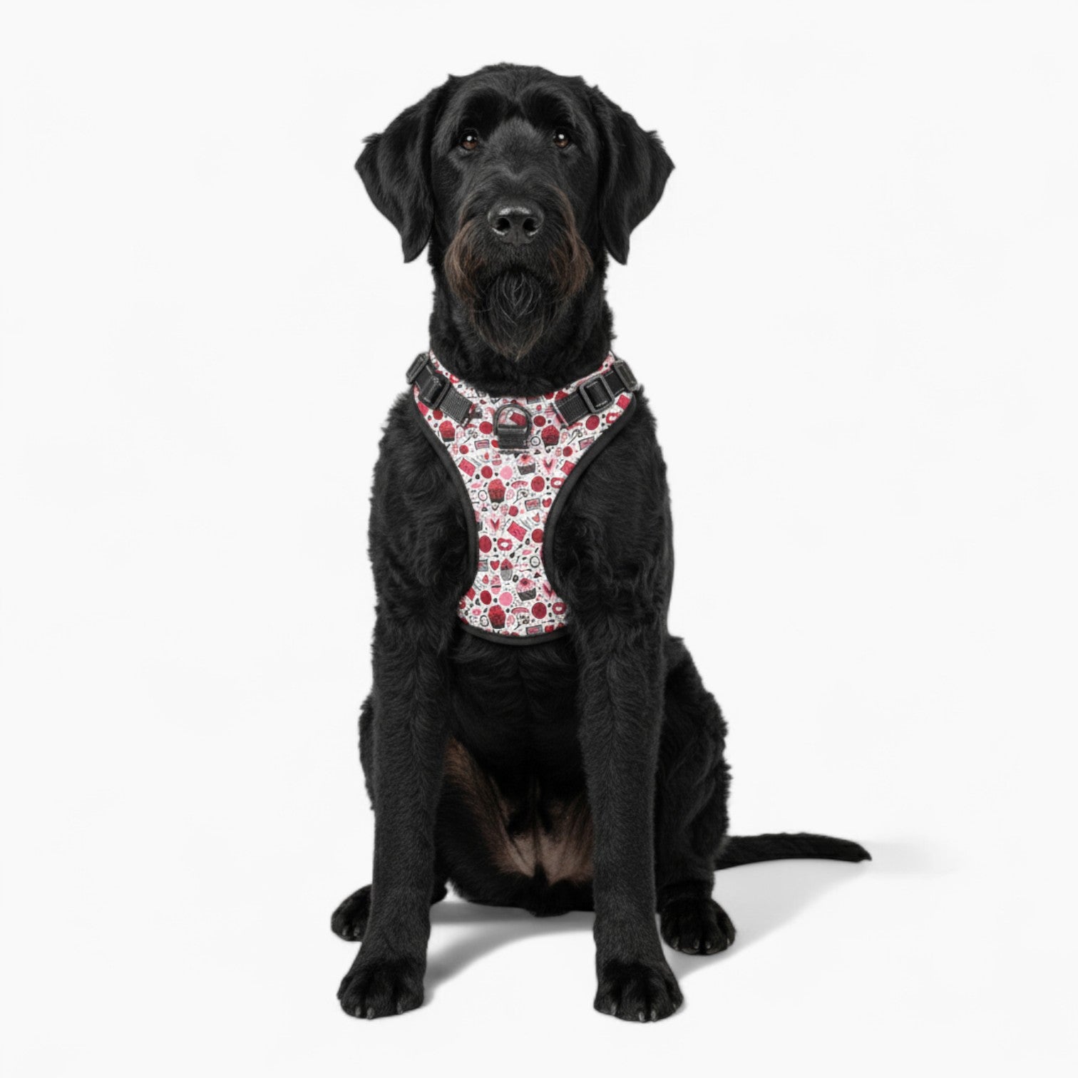 Roya  - NO-PULL Dog Harness & Leash Set | for small and large Dogs