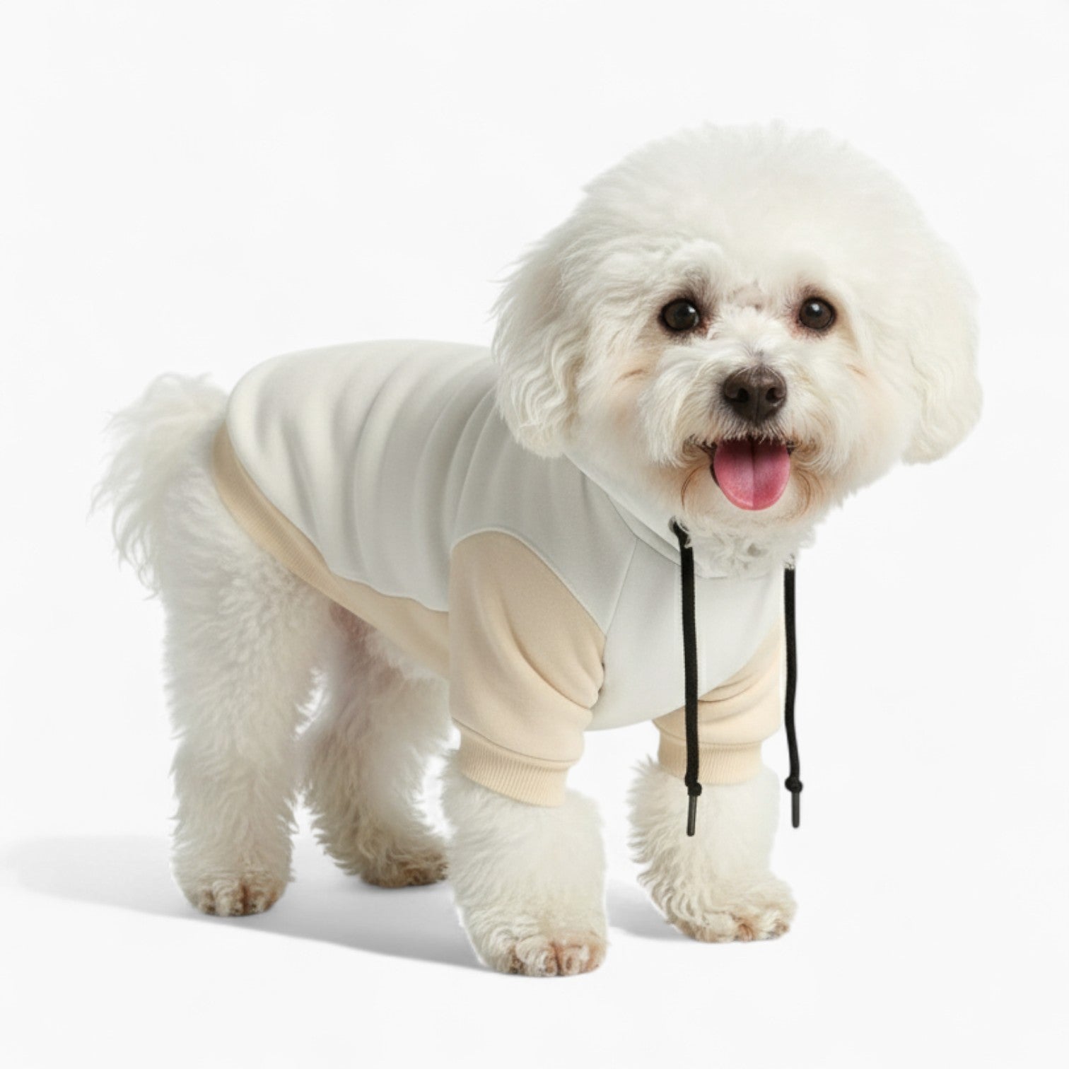 Leo - Dog hoodie