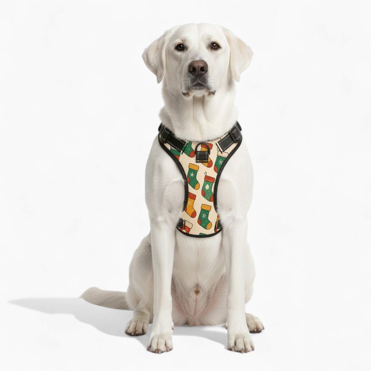 Hank - NO-PULL Dog Harness