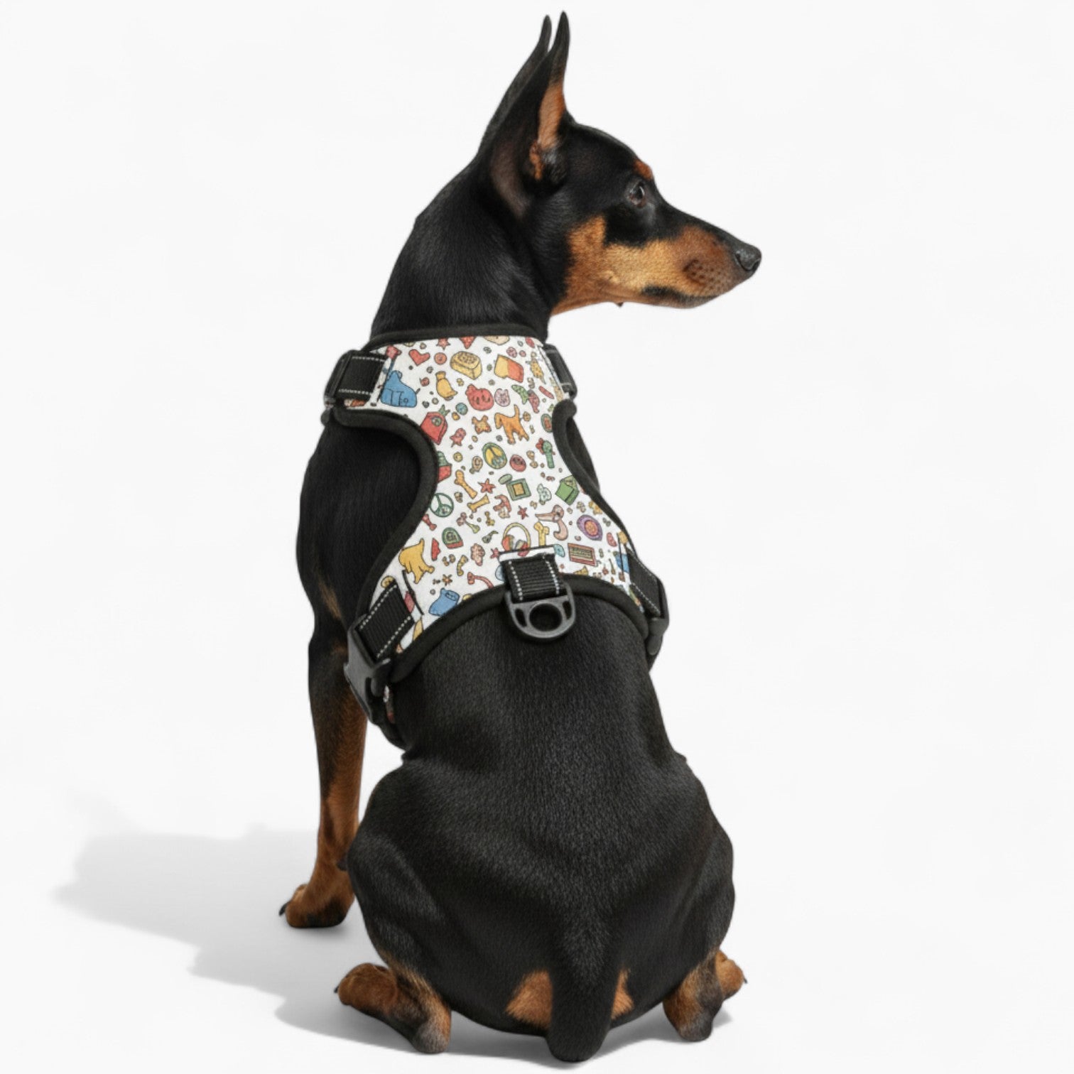LOKI - NO-PULL Dog Harness & Leash Set | for small and large Dogs
