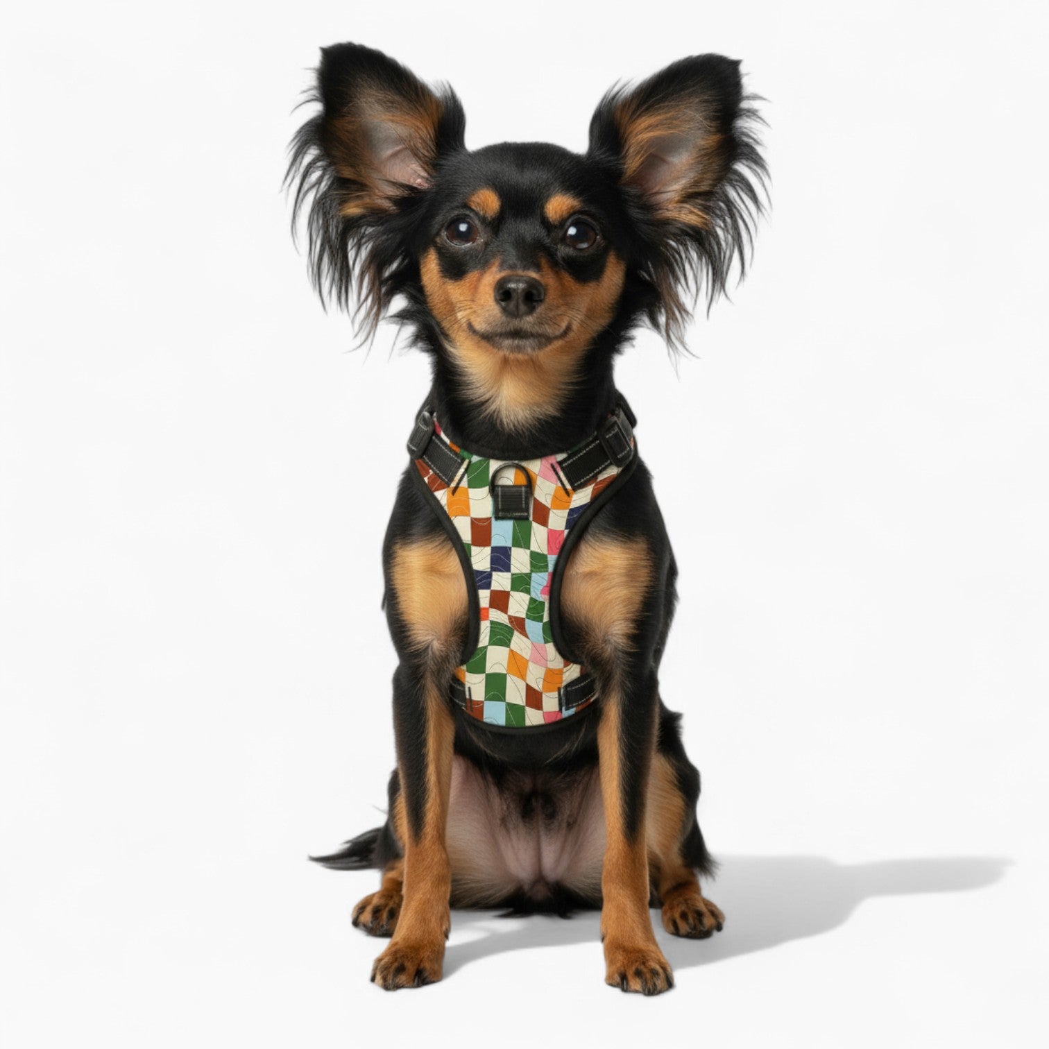 Ruby - NO-PULL Dog Harness & Leash Set | for small and large Dogs