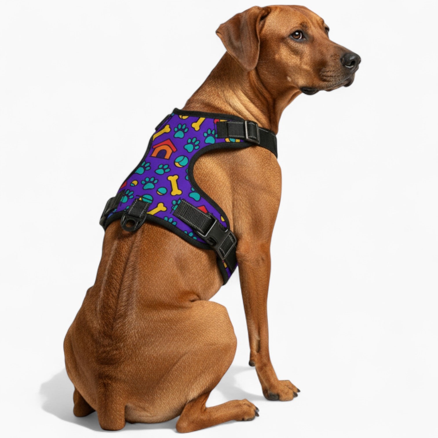 BELLA - NO-PULL Dog Harness & Leash Set | for small and large Dogs