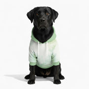 Rosa - Dog hoodie