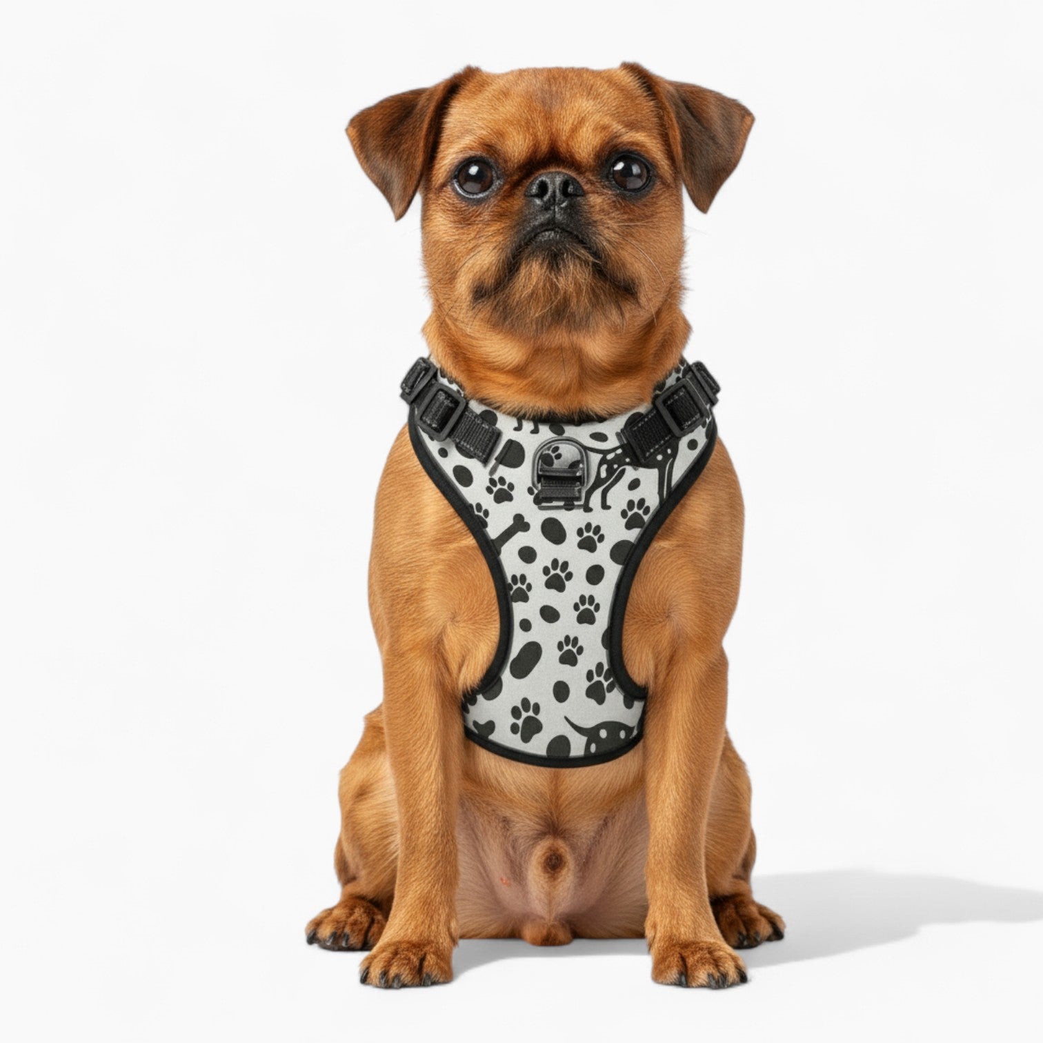 Sunny  - NO-PULL Dog Harness & Leash Set | for small and large Dogs