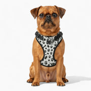 Sunny  - NO-PULL Dog Harness & Leash Set | for small and large Dogs
