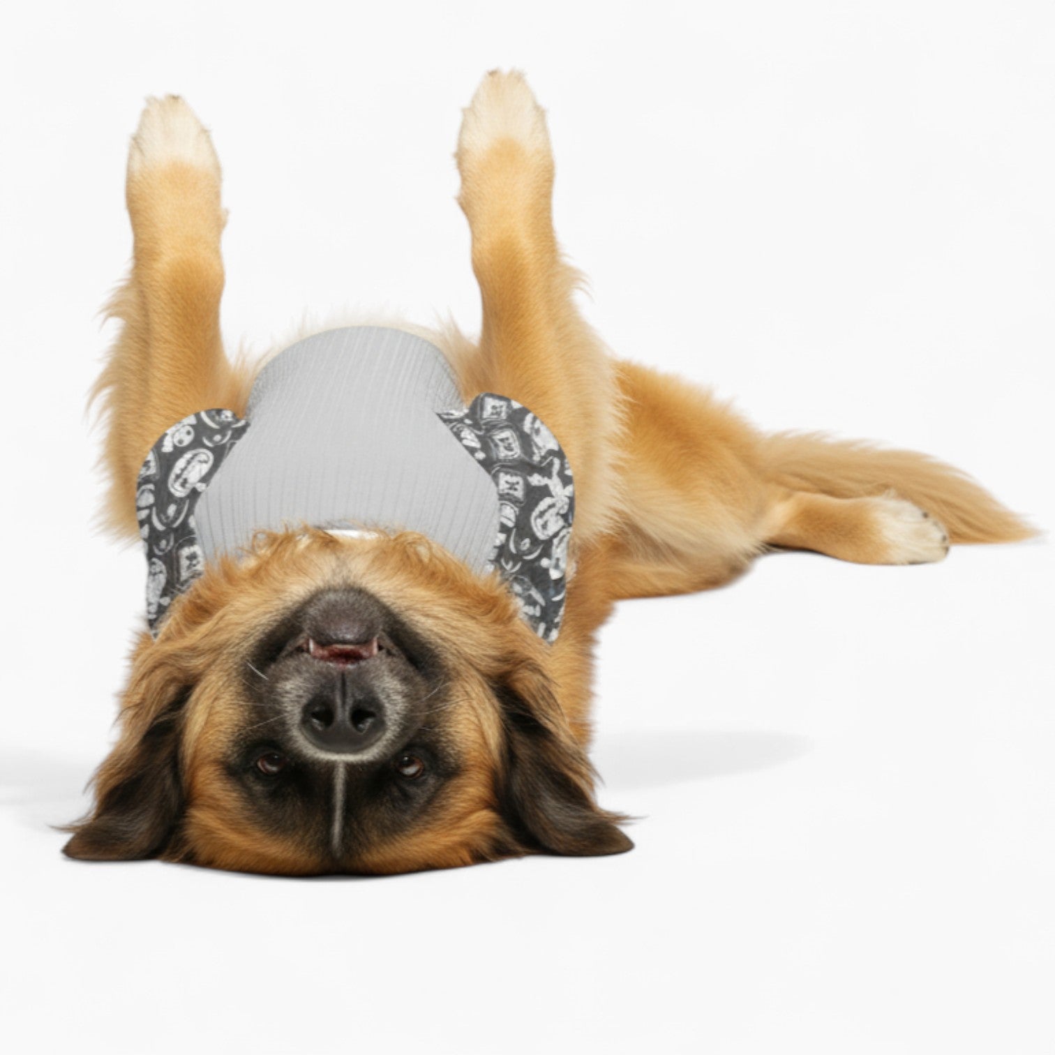 Rufus -Dog Wool Sweater