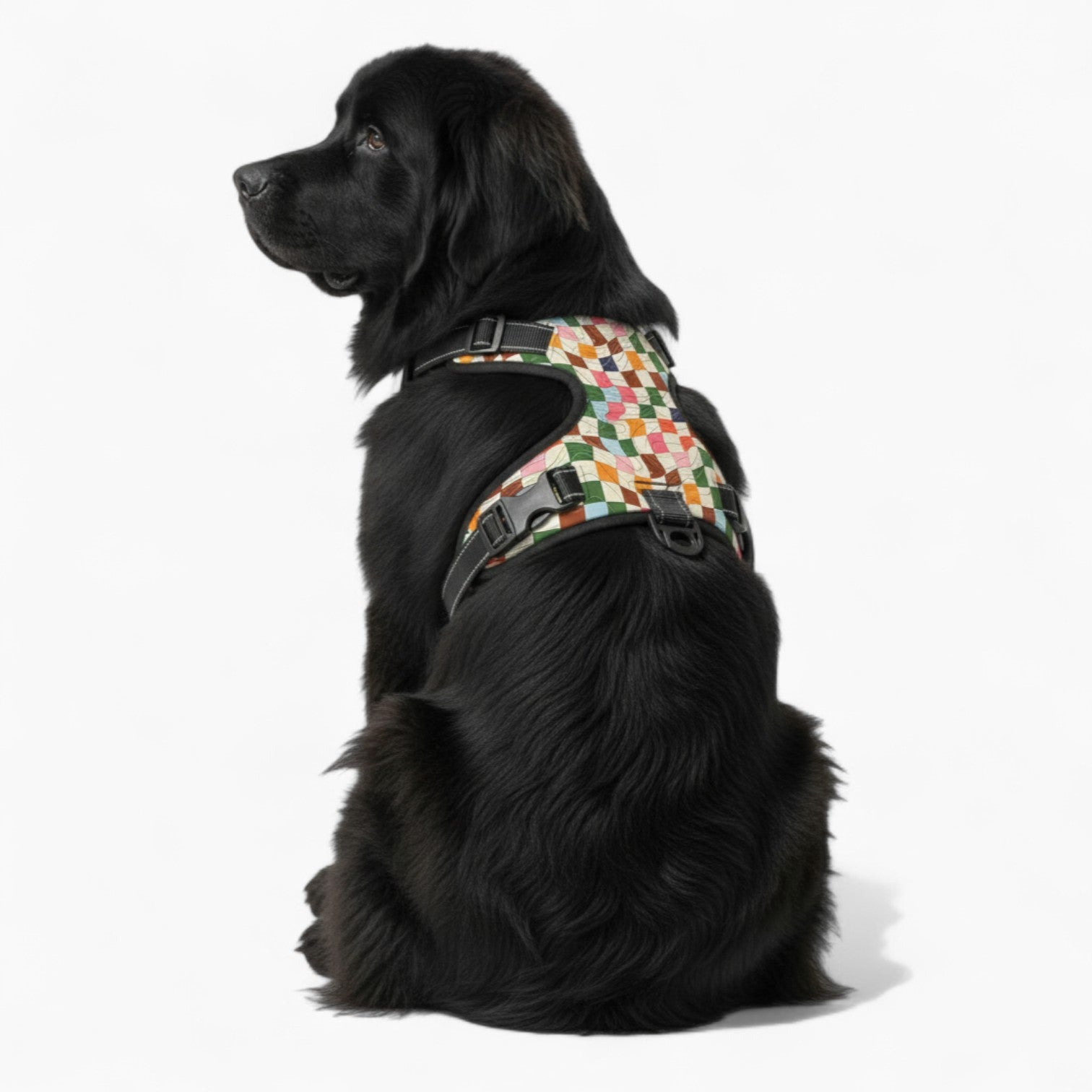 Ruby - NO-PULL Dog Harness & Leash Set | for small and large Dogs