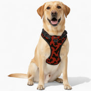 Daisy - NO-PULL Dog Harness & Leash Set | for small and large Dogs