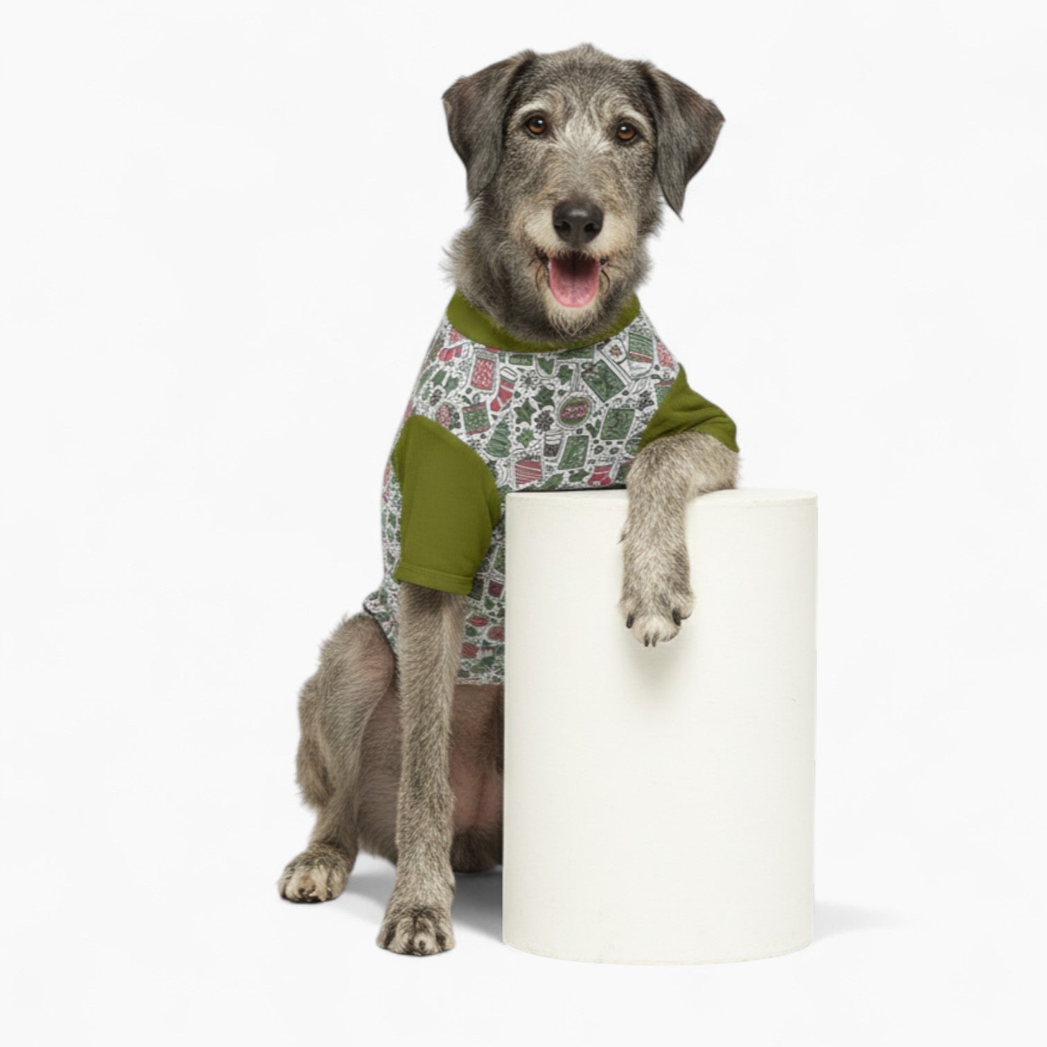 Chester - Dog Wool Sweater