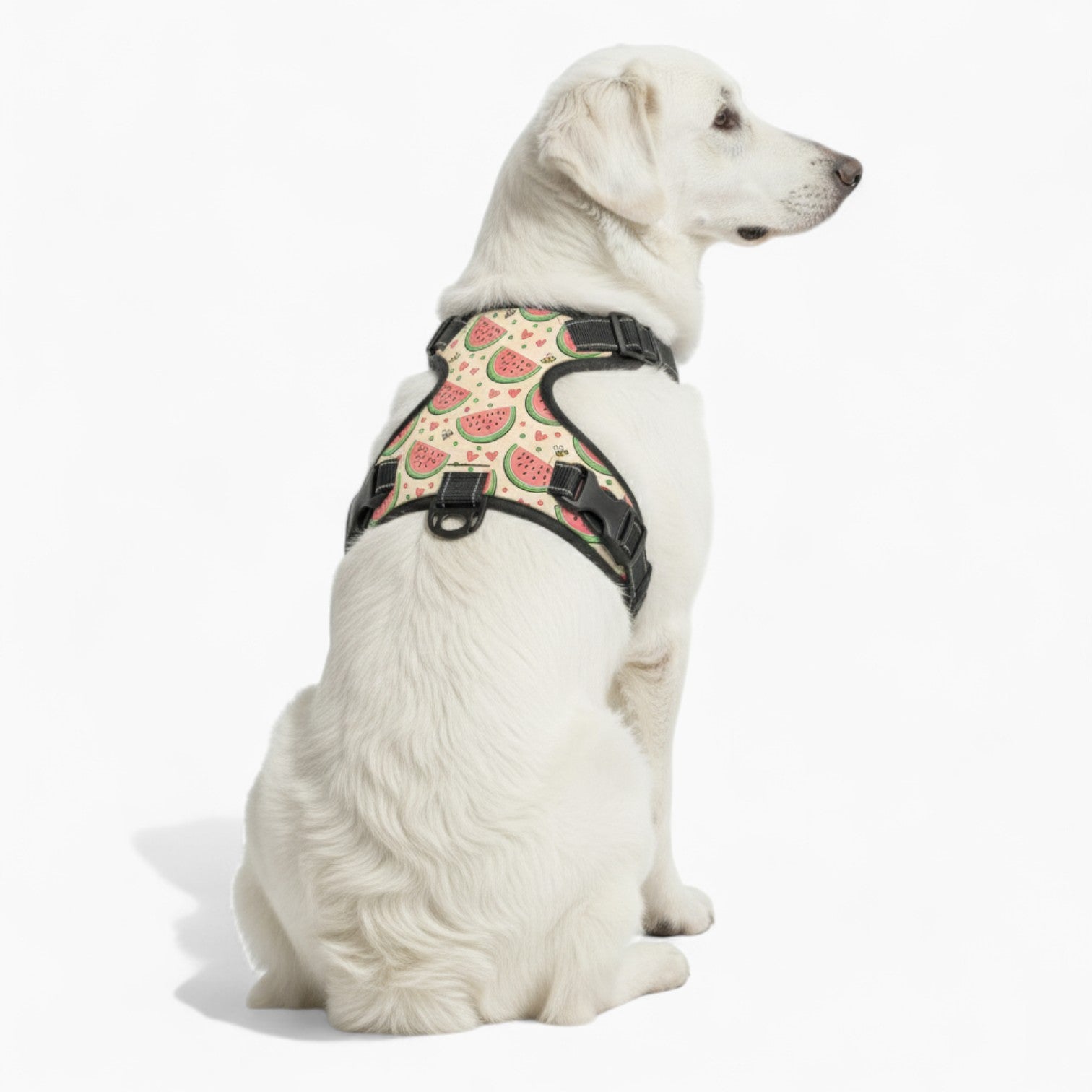 Coco - NO-PULL Dog Harness & Leash Set | for small and large Dogs