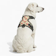 Coco - NO-PULL Dog Harness & Leash Set | for small and large Dogs