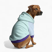 Bella - Dog hoodie
