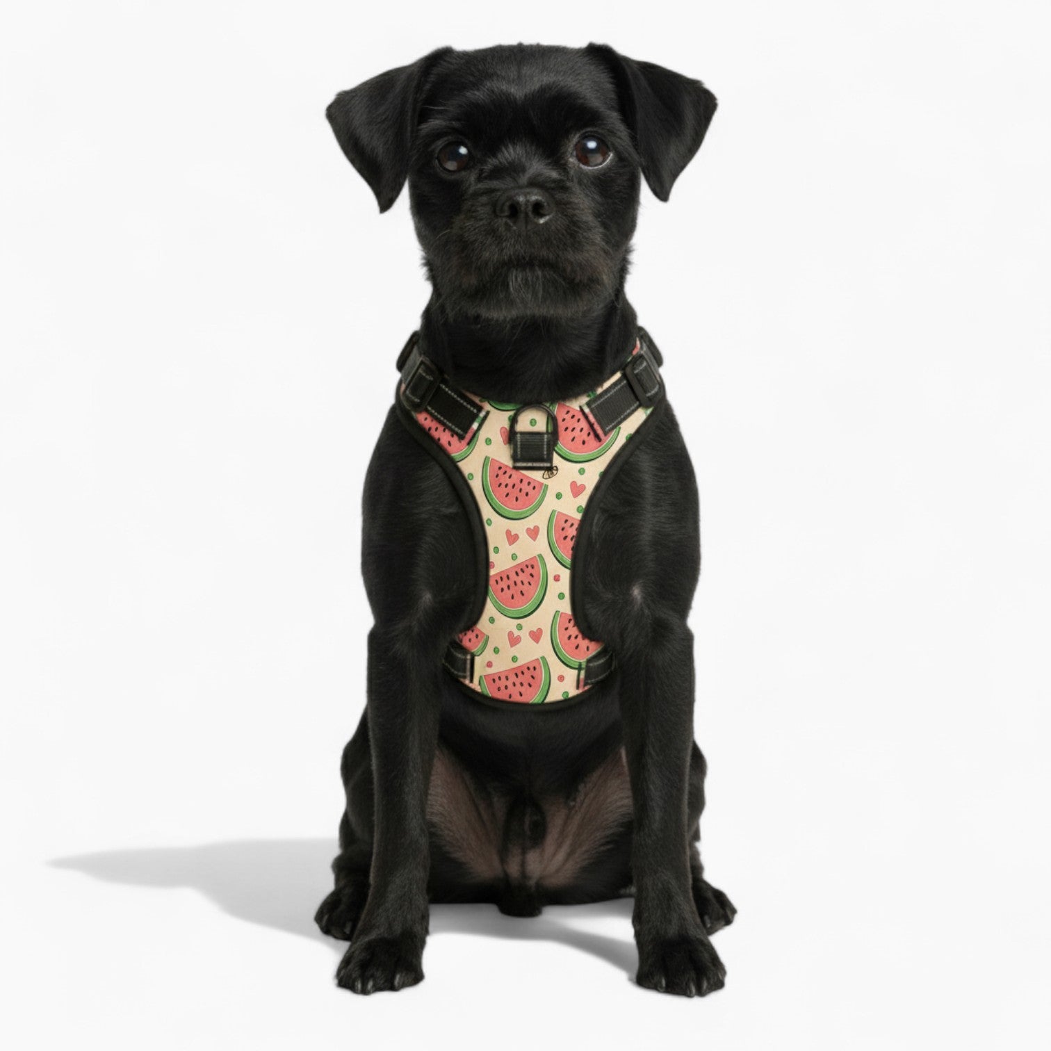 Coco - NO-PULL Dog Harness & Leash Set | for small and large Dogs