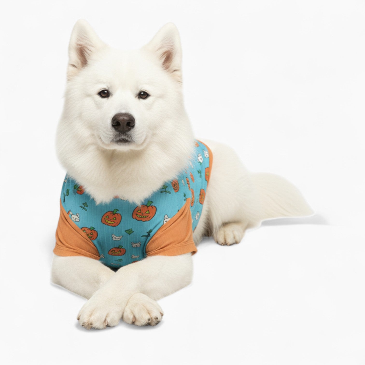 Sunny - Dog Wool Sweater