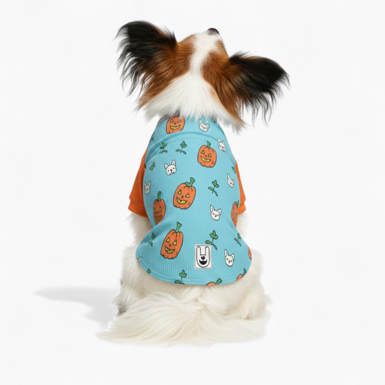 Sunny - Dog Wool Sweater