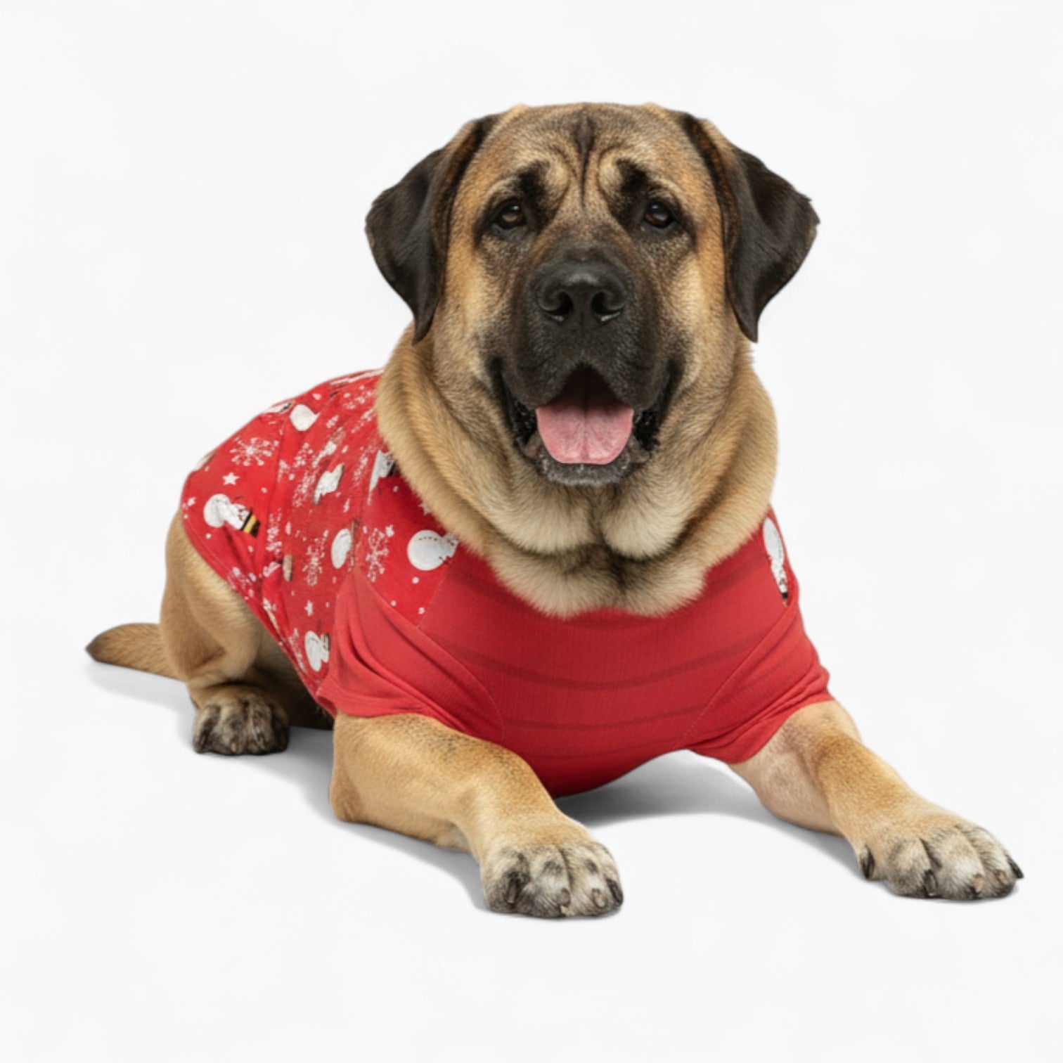 Roxy - Dog Wool Sweater