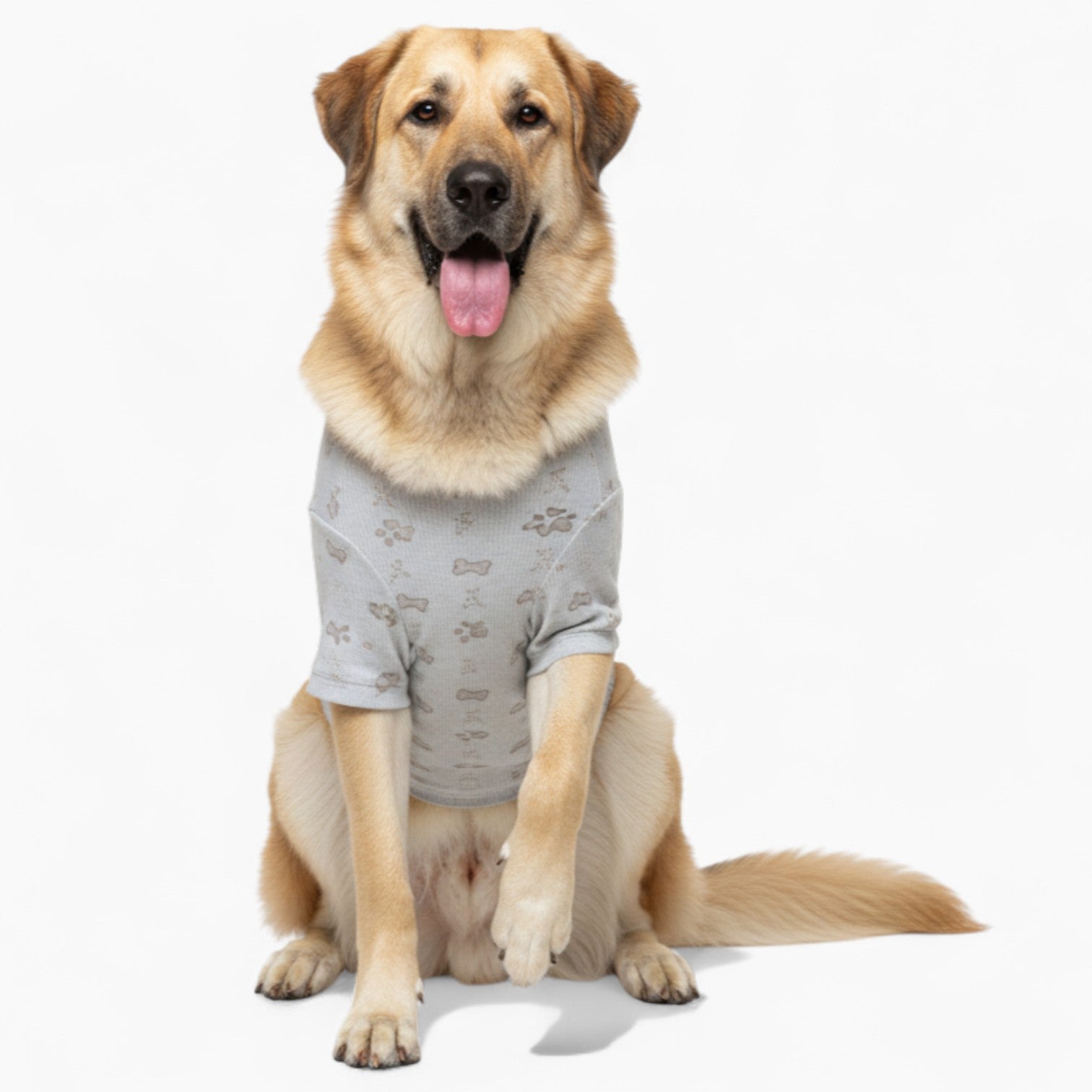 Cleo - Dog Wool Sweater