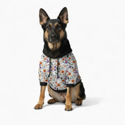 Bandit - Dog hoodie