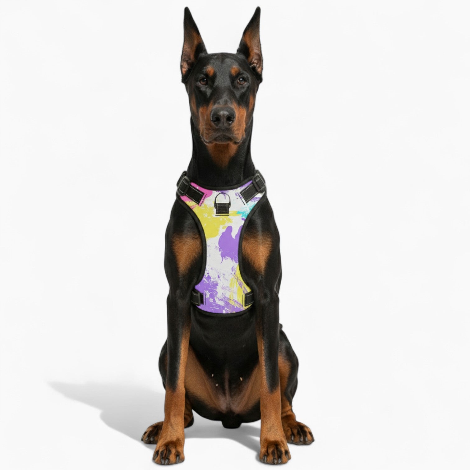 Rocco - NO-PULL Dog Harness & Leash Set | for small and large Dogs