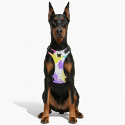 Rocco - NO-PULL Dog Harness & Leash Set | for small and large Dogs
