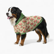 Coco - Dog hoodie