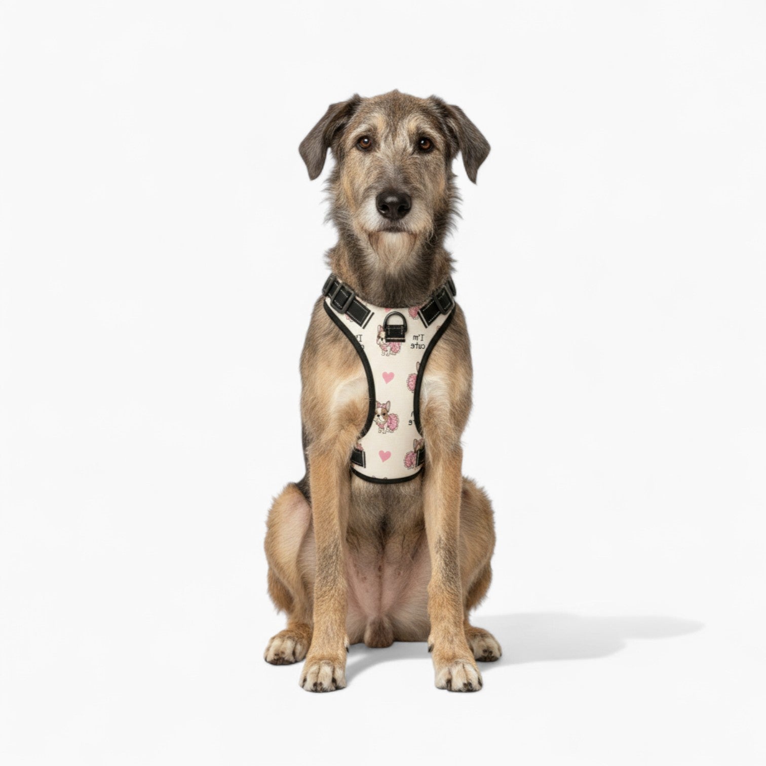 Rocky - NO-PULL Dog Harness & Leash Set | for small and large Dogs
