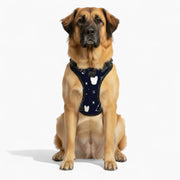 Apollo - NO-PULL Dog Harness & Leash Set | for small and large Dogs