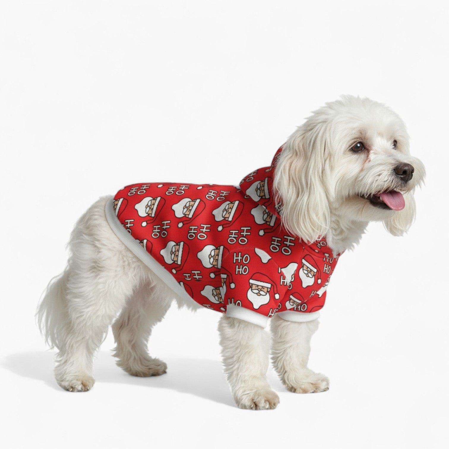 Santa - Dog hoodie